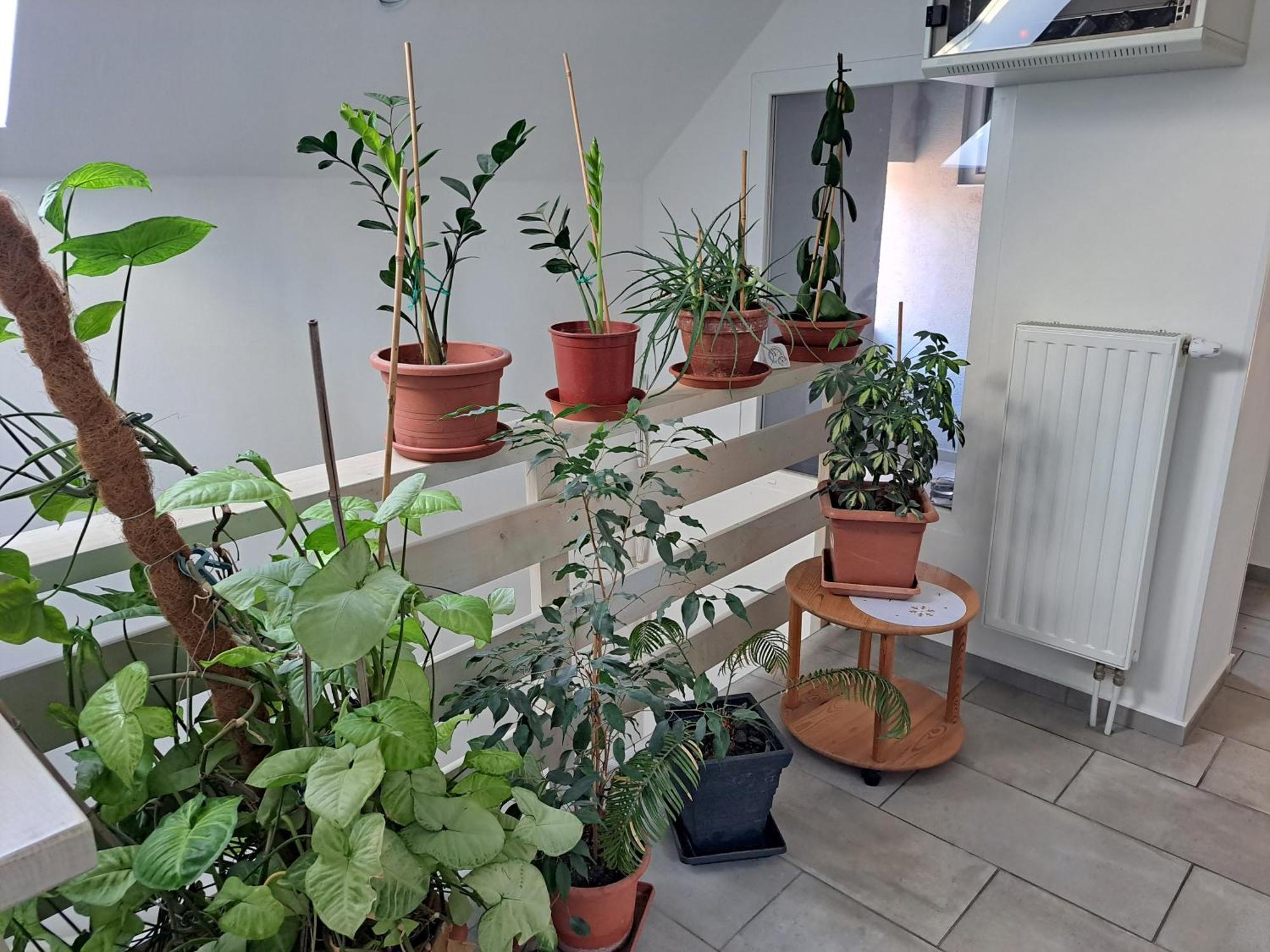 פישטני Apartmany Amalia מראה חיצוני תמונה